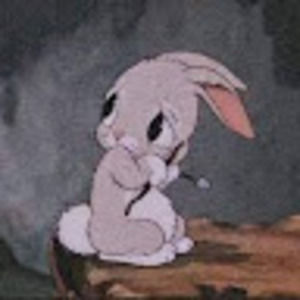 Meet your Posher, Posie